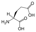 Acid glutamic (Glu / E)