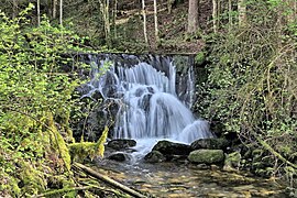 Cascade sur le Chataignot.