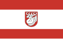 Distretto di Świdnik – Bandiera