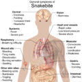 Image 37Most common symptoms of any kind of snake bite envenomation. Furthermore, there is vast variation in symptoms between bites from different types of snakes. (from Snake)