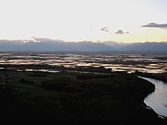 Los campos de arroz en Trino.