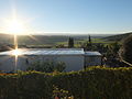 Sunrise over the Elah Valley