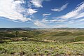 Entre A Gudiña e Vilariño de Conso.