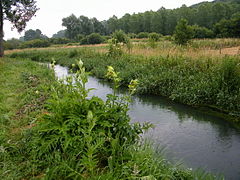 Rivière coulant au milieu de champs.