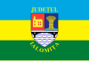 Flag of Ialomița County