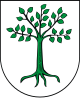 Kruszwica – Stemma