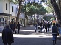 Viale Ceccarini