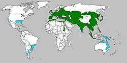 Villisian alkuperäinen levinneisyysalue (vihreä), sekä istutukset ja villiintyneet kesysiat (sininen)