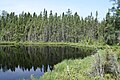 Image 24Blackjack Springs Wilderness, in the Chequamegon–Nicolet National Forest. (from Geography of Wisconsin)