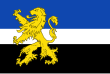 Vlag van de gemeente Hilvarenbeek