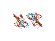 2gco: Crystal structure of the human RhoC-GppNHp complex