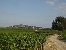 Le Sancerrois, en 2009.