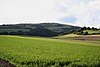 Blick etwa aus Richtung Hausen nach Nordwesten zum Bloßberg