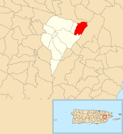 Location of Caimito within the municipality of Juncos shown in red