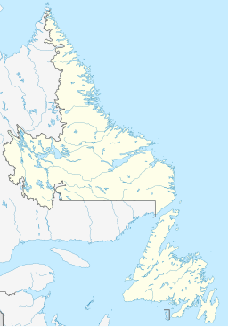 St. John's läge på kartan över Newfoundland och Labrador.