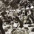 Vegetable costermonger, Hungary, 1935