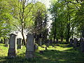 Mennonieten begraafplaats