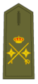 Exèrcit de Terra Espanyol General de División
