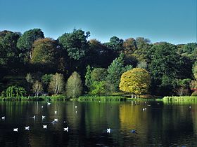 Image illustrative de l’article Strangford Lough