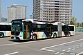 いすゞ・エルガデュオ（東京BRT）