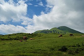 阿蘇パノラマラインからの景色