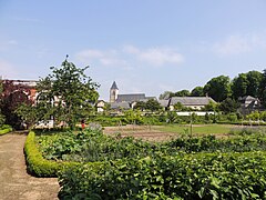 Le potager, l'orangerie et le clocher de l'église Saint-Vincent du Lude.