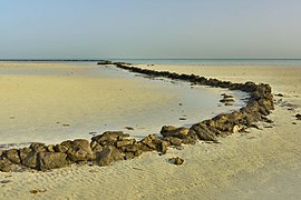 Intdertidal stone fish traps at Al Arish