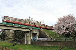 桜咲く野川を渡る、多摩川線の列車。 二枚橋橋梁にて（2020年3月）