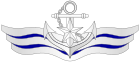 海军胸标