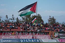 CD Palestino