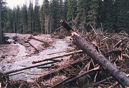 Traces des dégâts du grand orage de 1997 au niveau de la rivière Stora Göljån