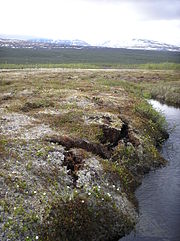 Un palse près d'Abisko