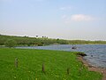 Looking towards Kilbirnie