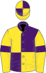 Yellow and purple quartered, yellow sleeves, purple armlet, quartered cap