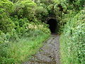 Rimutaka Incline 04.JPG