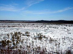 Parc national de Torronsuo.