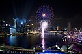 Preview of the Singapore National Day Parade, 2011