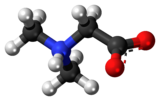 Ball-and-stick model of the dimethylglycine molecule as a zwitterion