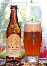 Dogfish Head 120 Minute IPA