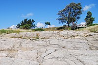 Omgeving van NaturBornholm in Aakirkeby