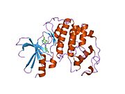 1di8: THE STRUCTURE OF CYCLIN-DEPENDENT KINASE 2 (CDK2) IN COMPLEX WITH 4-[3-HYDROXYANILINO]-6,7-DIMETHOXYQUINAZOLINE