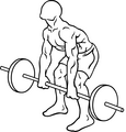 Barbell rear delt row begin