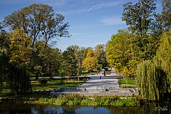 Widok na Park Miejski