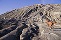 Pathway leading to Mount Bromo caldera