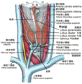 2011年3月17日 (四) 15:53版本的缩略图