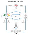 2017年6月6日 (二) 19:07版本的缩略图