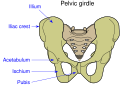 Thumbnail for version as of 01:50, 16 August 2019