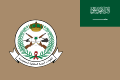 Flag of the Royal Saudi Land Forces