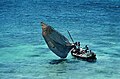 Imbarcazione a vela dei pescatori isolani