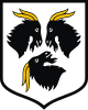 Coat of arms of Kędzierzyn-Koźle